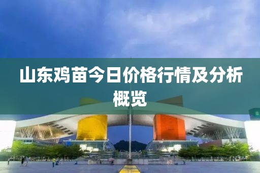 山东鸡苗今日价格行情及分析概览