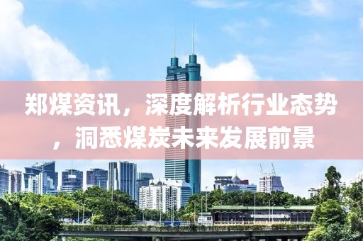 郑煤资讯，深度解析行业态势，洞悉煤炭未来发展前景