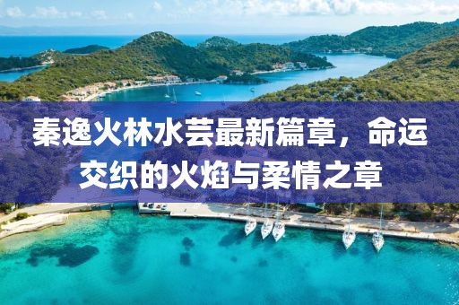 秦逸火林水芸最新篇章，命运交织的火焰与柔情之章