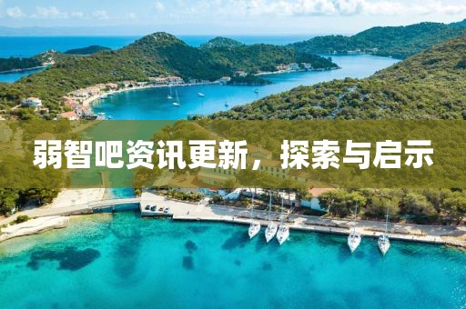 弱智吧资讯更新，探索与启示