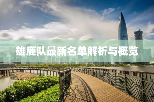 雄鹿队最新名单解析与概览