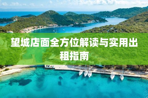 望城店面全方位解读与实用出租指南