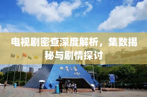 电视剧密查深度解析，集数揭秘与剧情探讨