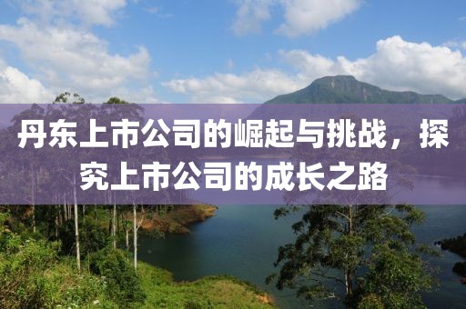 丹东上市公司的崛起与挑战，探究上市公司的成长之路