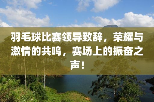 羽毛球比赛领导致辞，荣耀与激情的共鸣，赛场上的振奋之声！