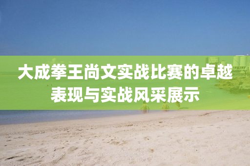 大成拳王尚文实战比赛的卓越表现与实战风采展示