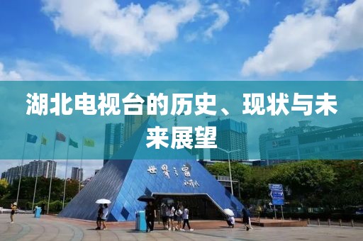 湖北电视台的历史、现状与未来展望