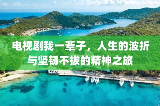 电视剧我一辈子，人生的波折与坚韧不拔的精神之旅