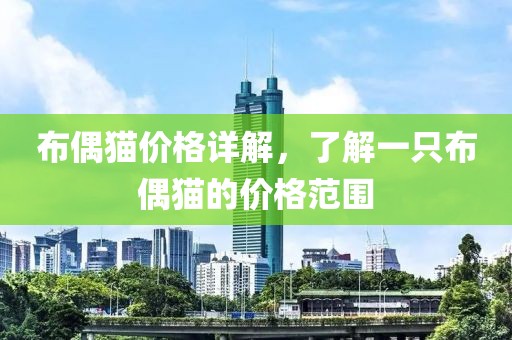 布偶猫价格详解，了解一只布偶猫的价格范围