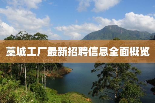 藁城工厂最新招聘信息全面概览