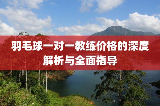 羽毛球一对一教练价格的深度解析与全面指导