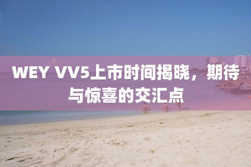 WEY VV5上市时间揭晓，期待与惊喜的交汇点