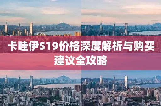卡哇伊S19价格深度解析与购买建议全攻略