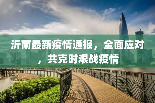 沂南最新疫情通报，全面应对，共克时艰战疫情