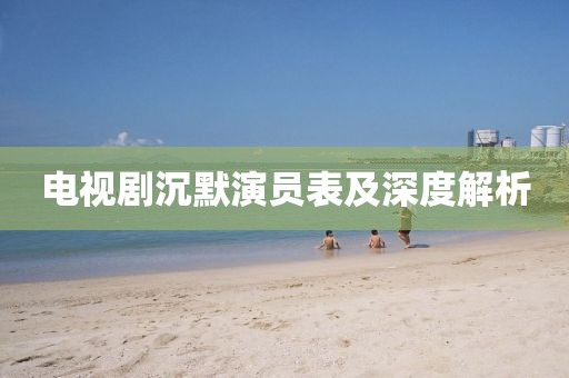 电视剧沉默演员表及深度解析