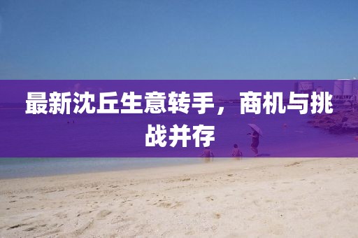 最新沈丘生意转手，商机与挑战并存