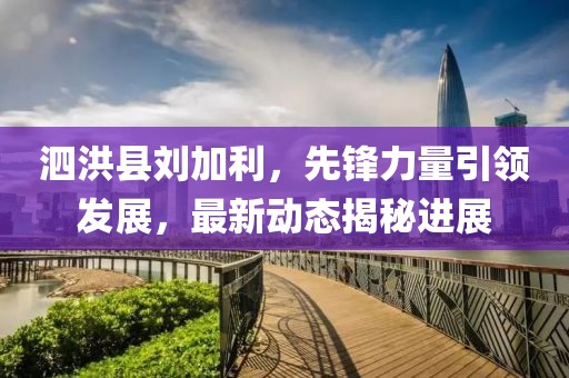 泗洪县刘加利，先锋力量引领发展，最新动态揭秘进展