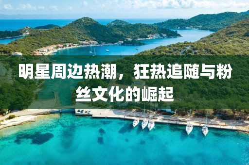 明星周边热潮，狂热追随与粉丝文化的崛起