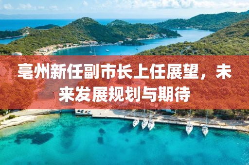 亳州新任副市长上任展望，未来发展规划与期待
