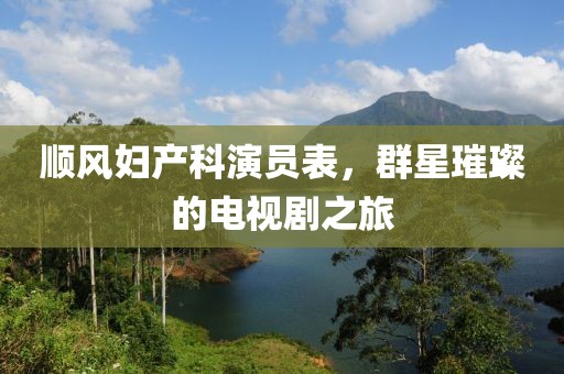 顺风妇产科演员表，群星璀璨的电视剧之旅