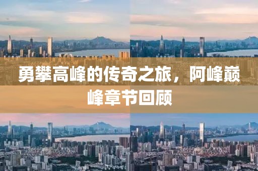 勇攀高峰的传奇之旅，阿峰巅峰章节回顾