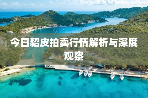 今日貂皮拍卖行情解析与深度观察