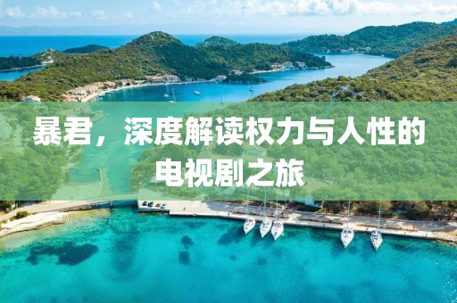 暴君，深度解读权力与人性的电视剧之旅