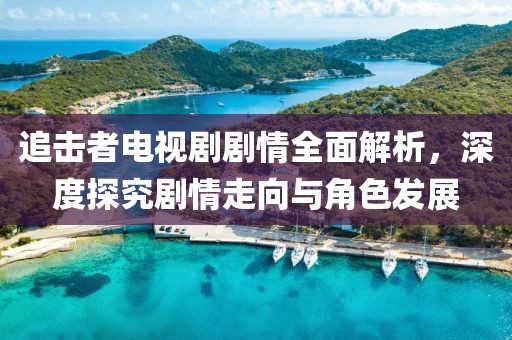 追击者电视剧剧情全面解析，深度探究剧情走向与角色发展
