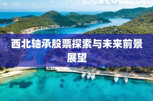 西北轴承股票探索与未来前景展望