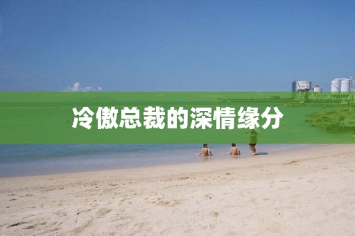 冷傲总裁的深情缘分