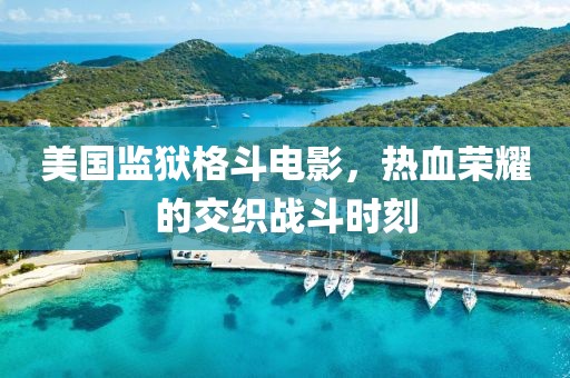 美国监狱格斗电影，热血荣耀的交织战斗时刻