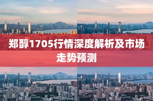 郑醇1705行情深度解析及市场走势预测