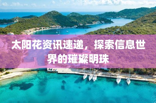 太阳花资讯速递，探索信息世界的璀璨明珠