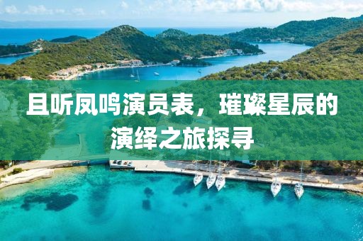 且听凤鸣演员表，璀璨星辰的演绎之旅探寻