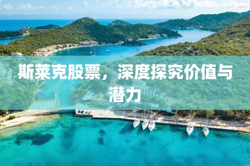 斯莱克股票，深度探究价值与潜力