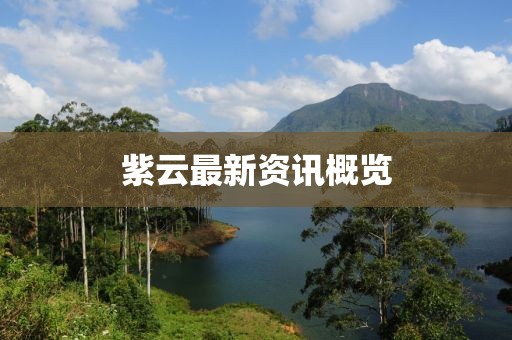 紫云最新资讯概览