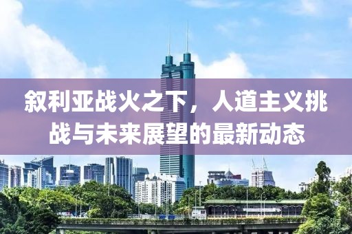 叙利亚战火之下，人道主义挑战与未来展望的最新动态