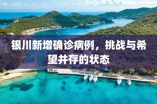 银川新增确诊病例，挑战与希望并存的状态