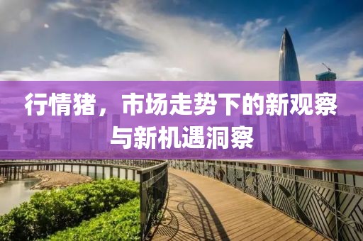 行情猪，市场走势下的新观察与新机遇洞察