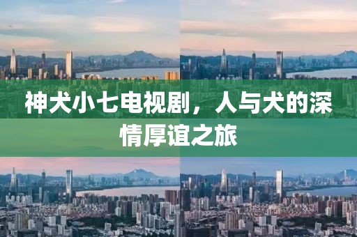 神犬小七电视剧，人与犬的深情厚谊之旅