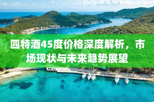 四特酒45度价格深度解析，市场现状与未来趋势展望