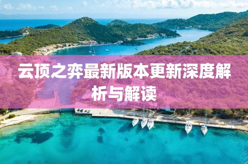 云顶之弈最新版本更新深度解析与解读