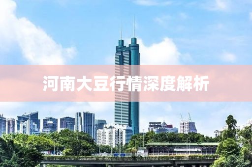 河南大豆行情深度解析