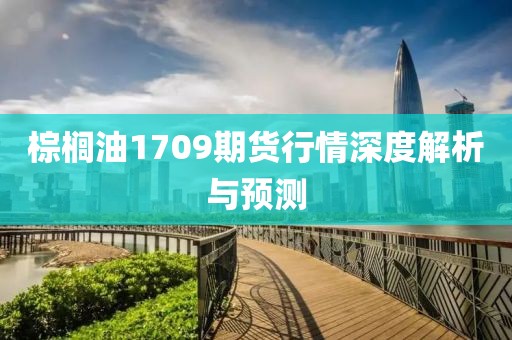 棕榈油1709期货行情深度解析与预测