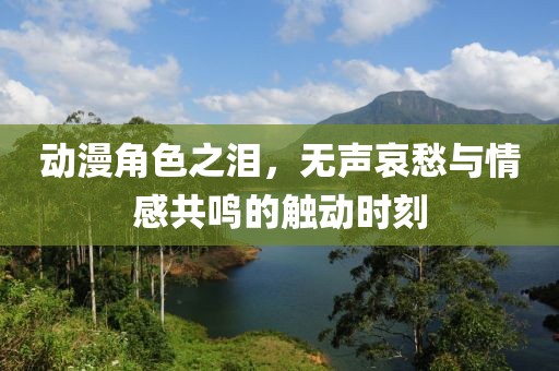 动漫角色之泪，无声哀愁与情感共鸣的触动时刻