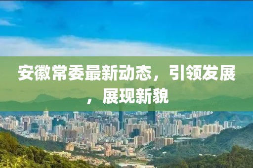 安徽常委最新动态，引领发展，展现新貌