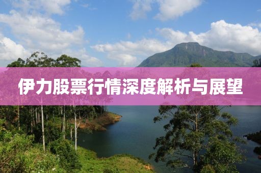 伊力股票行情深度解析与展望