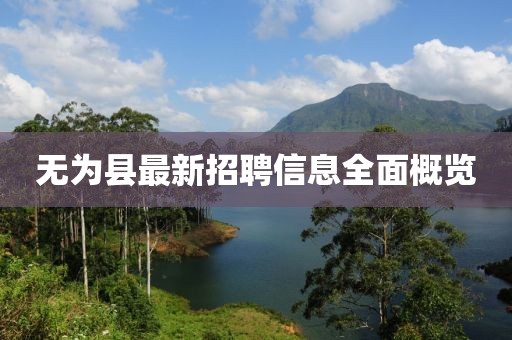 无为县最新招聘信息全面概览