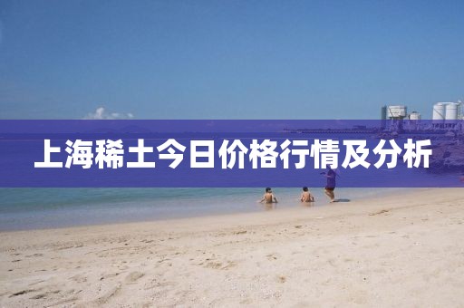上海稀土今日价格行情及分析