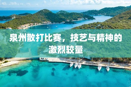 泉州散打比赛，技艺与精神的激烈较量
